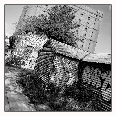 The B-Bond brick warehouse sits in the distance with its many small windows and multiple floors. Sitting between it and abandoned out buildings made of brick & corrugated iron are bushes, trees and vines. The buildings are smothered in street art.