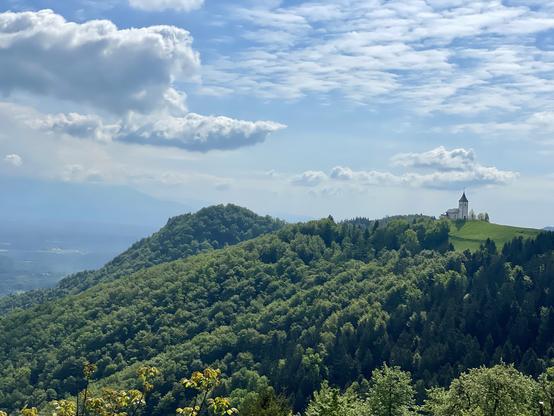View of hilltop church on approach from Lake Bled direction. Church in meadow; hillside forested. Alps in distance.