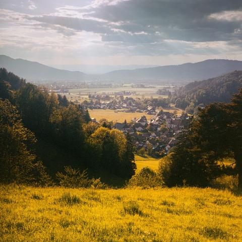Blick über das Dreisamtal an einem Frühlingsabend im Gegenlicht. Im Vordergrund eine Wiese, dahinter rechts und links Baumreihen, die diagonal zur Mitte hin abfallen, wo sich der Blick über das Tal öffnet. In der weiten Ebene des Tales sind mehrere Dörfer zu sehen. Im Hintergrund wird die Sicht links und rechts durch Hügel am Schwarzwaldrand begrenzt, in der Mitte kann man ganz hinten die Vogesen erahnen. Die Sonne ist nicht sichtbar, sie wirft von oberhalb des Bildes aus sichtbare Strahlen durch die Wolken am Himmel.