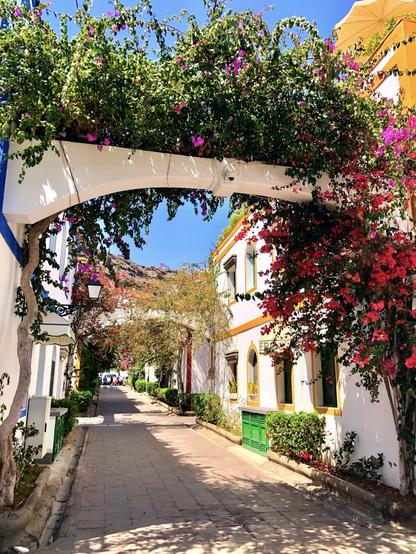 Gran Canaria, Puerto de Mogán, a.k.a. Little Venice, is one of my favourite spots in the southwest of the island to wander around, marvelling at the colourful bougainvillaea trees in full bloom in the middle of the streets as they connect different houses with their branches. Gotta love the peace and quiet as well, although it's usually buzzing with tourists. This time around I managed to capture this snap shot with empty streets in the summer. Rare, but pure bliss. Vintage photo as well: Summer 2919.