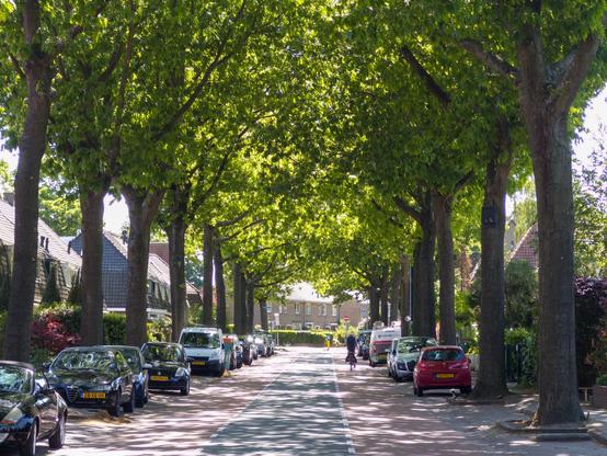 Tree-lined street with parked cars and bicycles in Huizen, Netherlands.