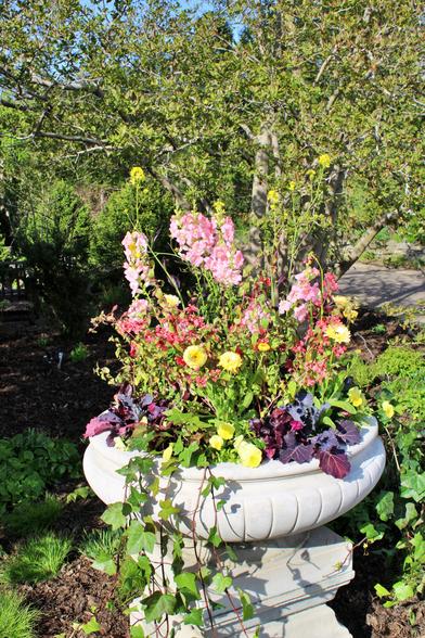 Pink, yellow, red, and purple flowers arranged artistically in a cement urn with assorted varieties of plants and trees in the background.