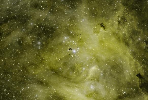 Streaks and swirls of yellowish gas near the center of the lambda centauri nebula. A cluster of bright stars sits at the center, but amongst those stars are also oddly shaped black blobs where dust is cocooning around newly forming stars.