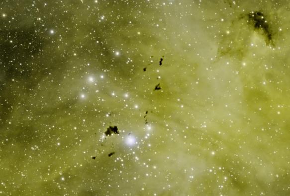 Cropped view of the bright stars and dark dust blobs.