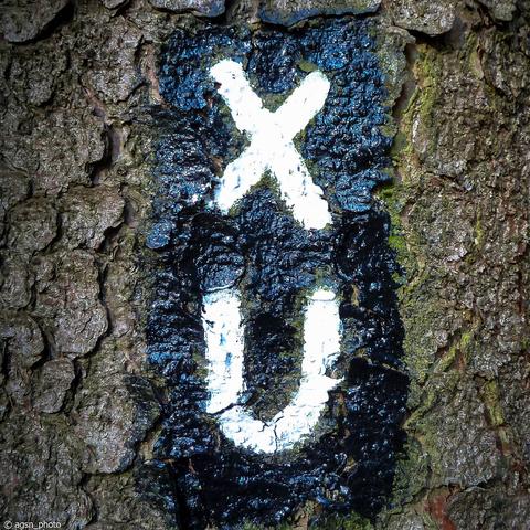 Die Wanderzeichen X und U untereinander in weiß auf schwarzem Grund an einem Baum. /
The hiking signs X and U one below the other in white on a black background on a tree.