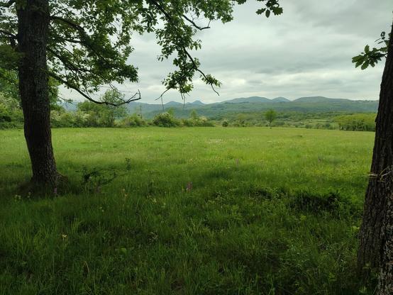 Une vue sur la chaîne des Puys depuis le plateau de Châteaugay, paysage sauvage et verdoyant.