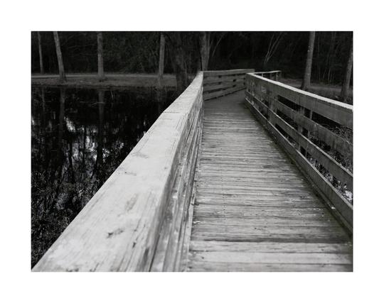A black and white photo showing a wooden pathway over a pond. Framed in white.
