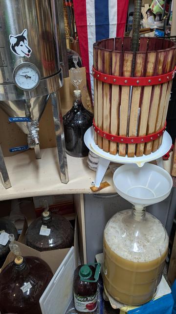 A conical fermentor stands on a table next to a small wine press, beer can be seen draining through a funnel into a carboy below