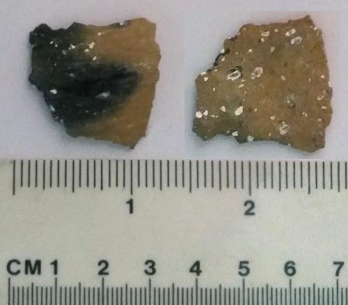 Shell tempered ceramics