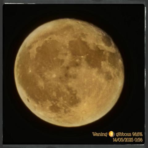 The image shows a close-up view of the Moon against a black background. The Moon appears as a large, round, and slightly yellowish-brown celestial body with visible craters and surface details. The text in the bottom right corner reads "Waning 🌖 Gibbous 98.6% 14/05/2025 0:56," indicating the Moon's phase and the date and time the image was taken. The Moon's surface is textured with various shades of brown and gray, highlighting its craters and maria. The image is framed by a thin gray border, and the overall composition is centered, focusing on the Moon.