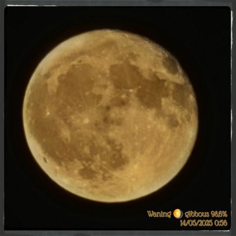 The image shows a close-up view of the Moon against a black background. The Moon appears as a large, round, and slightly yellowish-brown celestial body with visible craters and surface details. The text in the bottom right corner reads "Waning 🌖 Gibbous 98.6% 14/05/2025 0:56," indicating the Moon's phase and the date and time the image was taken. The Moon's surface is textured with various shades of brown and gray, highlighting its craters and maria. The image is framed by a thin gray border, and the overall composition is centered, focusing on the Moon.

Provided by @altbot, generated privately and locally using Ovis2-8B

🌱 Energy used: 0.153 Wh
