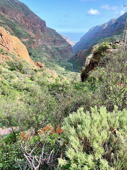Gran Canaria, Barranco de Guayadeque. One of the most spectacular hikes in the island, going up in the mountains of Guayadeque on a winter day with blue skies all around, a lush of green, and a majestic view with a tiny road with cars right in the middle of the snap shot and in the horizon, the ocean. Always the ocean 😍👍🏻 Gotta love the peace and quiet, away from the maddening world 🥰