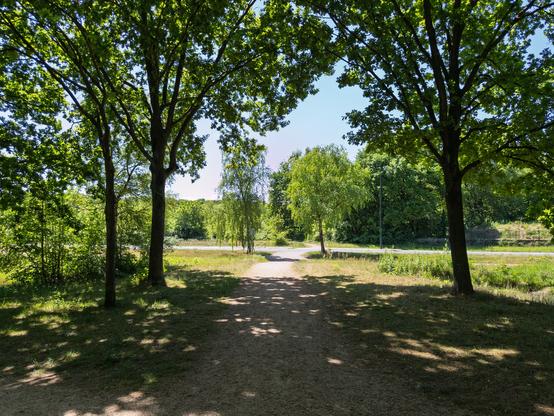 A sunlit path surrounded by trees in Huizen, Netherlands.