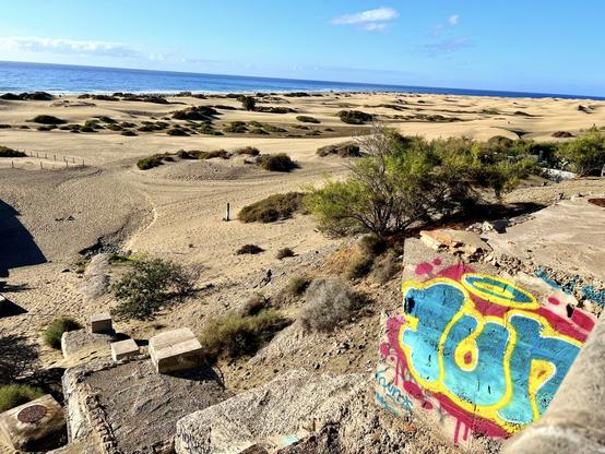 I wasn't too sure whether I wanted to share this snap shot when I took it a few weeks back. The caption for it is "Noting is safe". Why? Well, not even a protected natural reserve like Maspalomas Dunes is safe from the stupidity of certain individuals (hooligans) being an arsehole with what's not theirs. That's not a spot you can paint some graffiti on just because, you know, you fancy being an idiot. Whoever did that can right f*ck *off ! 🤬

(In the capture you can see Maspalomas Dunes with the gentle ocean in the horizon, blending in nicely with the blue skies and making up for quite a contrast with the golden sand. Pure bliss and a lovely way to start the weekend! 😍👍🏻)