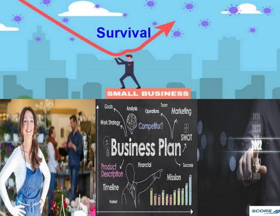 GROWING YOUR SMALL BUSINESS requires planning, grit, and strategic execution plus resources that can help you amplify your growth with continuous business planning and evolution.