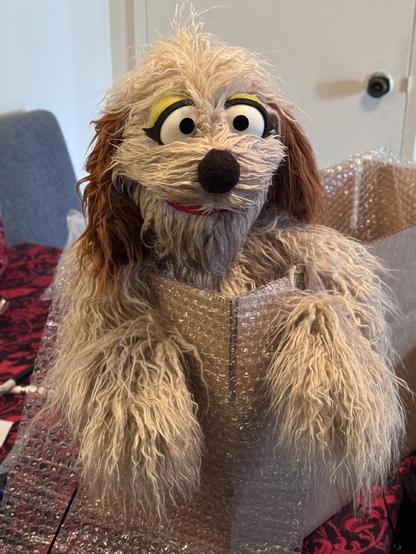Beige dog hand puppet boxed for shipping