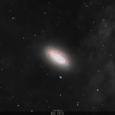NGC 2976