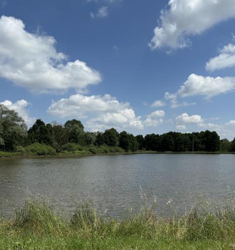 A scenic view of a calm lake surrounded by lush greenery and trees under a partly cloudy blue sky. Grass is visible in the foreground.