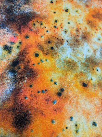 Faux-CMYK riso print of patchy, bright orange mold.