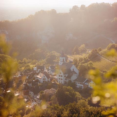 Blick auf Istein, eine historische Ortschaft, am Hang gelegen, umgeben von Laubwald und Weinbergen. Im Hintergrund die Felsformation Isteiner Klotz, die im Gegenlicht nur schemenhaft zu erkennen ist. Am linken und rechten Bildrand fällt der Blick durch unscharfes Laub im Vordergrund. Das ganze Bild ist von warmem abendlichem Gegenlicht geprägt.