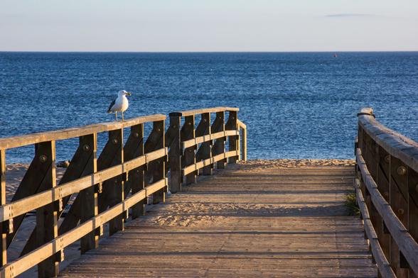 A wooden bridge illuminated by the late sun. Halfway up the left railing is a seagull. The bridge runs from the entire bottom of the photo to the middle of the photo. Behind it is a strip of beach, with a wide strip of blue sea above it. The wooden railing on the left (with three horizontal beams) runs diagonally to the middle. On the right you can also see a piece of the beams of the right railing. Above the sea is the light blue sky.