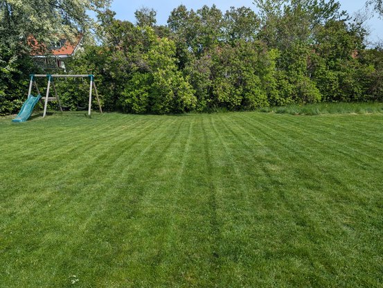 Lush, green and freshly cut; a lawn made by the gods.