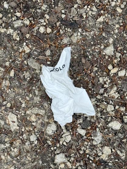 Ein gebrauchtes Papiertaschentuche liegt auf einem Wakdweg.