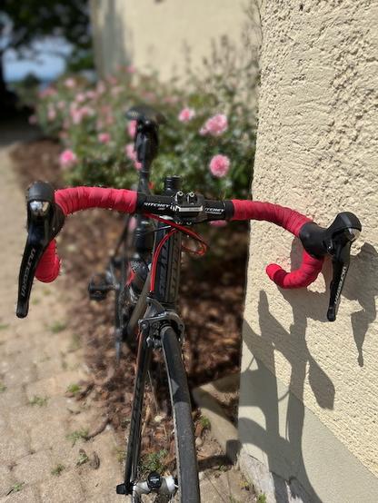 Rennrad von vorne, an Wand gelehnt, im Hintergrund blühende Rosenbüsche