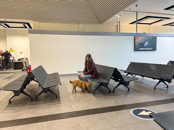 Dog and daughter at airport