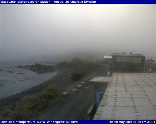 View from the Macquarie Island station.
