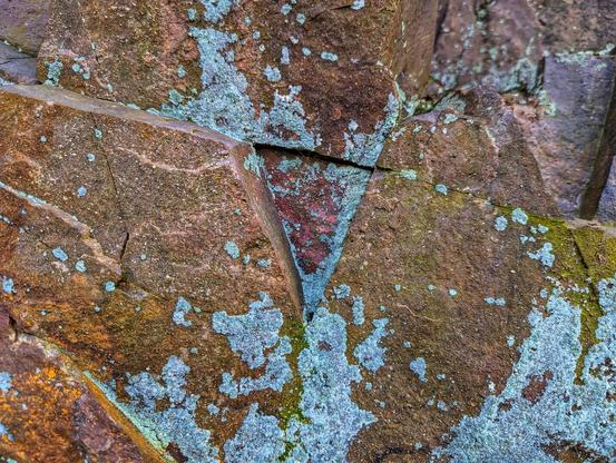 A close-up shot reveals a textured, rocky surface, possibly a stone wall or outcrop. The rocks are predominantly shades of brown and grey, with visible cracks and uneven surfaces. Patches of pale blue-grey lichen are scattered across the stone, creating a mottled appearance. In some areas, hints of green moss are also present. The lighting highlights the rough texture of the stone and the contrasting colours of the lichens and moss. The overall impression is of a weathered and aged natural surface.