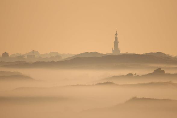 Die Stadt Leiden am frühen morgen von den Dünen aus gesehen. Nebel liegt in den Dünen und  im Hintergrund ragt die Skyline von Leiden empor. alles durch ein helles bernsteinfarbenes Licht gefärbt.