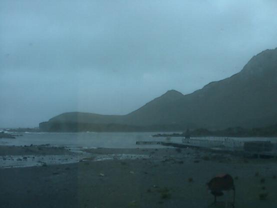 View from the Bird Island research station.