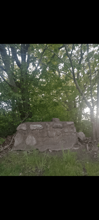 A part of a stonewall with trees on both sides.