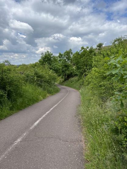 Das Bild zeigt einen schmalen asphaltierten Weg, der sich durch eine grüne, leicht hügelige Landschaft schlängelt. Der Weg ist von dichter Vegetation gesäumt – links und rechts wachsen hohes Gras, Büsche und Laubbäume in sattem Grün. Der Himmel ist größtenteils bewölkt mit einigen helleren Stellen, durch die ein wenig blau hindurchschimmert.