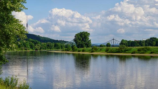 Blaues Wunder, Fernsehturm und Elbe...
Und ein hüpfender Fisch?