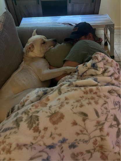 Beautiful dog lying on a couch with a person.
"I like sleeping"