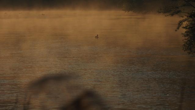Fluss im frühe Morgenlicht. Dunst steigt auf.