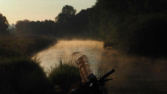 Fluss im frühe Morgenlicht. Dunst steigt auf.