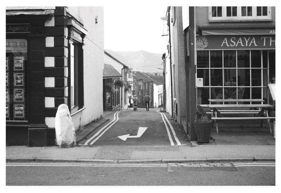 Black and white photograph looking down a lane at a couple walking into the distance with a dog.