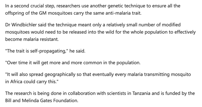 In a second crucial step, researchers use another genetic technique to ensure all the offspring of the GM mosquitoes carry the same anti-malaria trait.
Dr Windbichler said the technique meant only a relatively small number of modified mosquitoes would need to be released into the wild for the whole population to effectively become malaria resistant.
"The trait is self-propagating,” he said.
"Over time it will get more and more common in the population.
"It will also spread geographically so that eventually every malaria transmitting mosquito in Africa could carry this."
The research is being done in collaboration with scientists in Tanzania and is funded by the Bill and Melinda Gates Foundation.