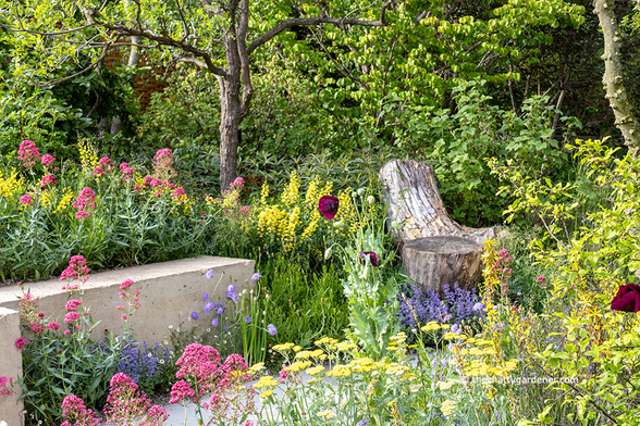 A garden with a backdrop of trees, block seat, tree stumps and planting in pink and yellow.
