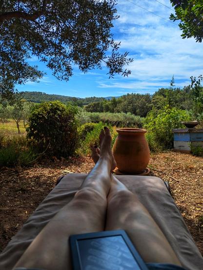 A photograph taken from a low angle, showing a person's legs and feet stretched out on a beige sun lounger. The person is lying down, and the view is from their perspective, looking towards their feet and beyond. Their feet are bare, with dark nail polish. An e-reader is partially visible, held in their hands.
The background shows a garden scene. A large, terracotta pot sits to the right, and a blue and yellow beehive is visible further back. Olive trees and other greenery surround the lounger, with a blue sky and scattered clouds overhead. The scene is bathed in sunlight, with shadows cast by the trees.