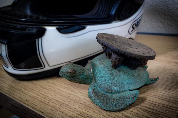 A'Tuin dans son habitat naturel