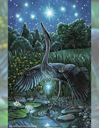 Illustration of a Great blue Heron with one foot stepping into a pond, wings outstretched, and head lifted toward the sky. There are bright stars in the sky, she wears a glowing star necklace, and there are flowers and forest in the background and glowing water lilies in the pond.
