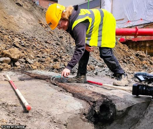 Roman wooden water pipe unearthed beneath the Belgian city of Leuven

In a rare discovery, archaeologists working in Leuven, Belgium, unearthed a Roman-era wooden water pipe that was remarkably preserved from the Roman imperial period, dating back between the 1st and 3rd centuries CE. 

The pipe, located some 13 feet beneath today’s street level, is between 65 and 100 feet in length and consists of hollowed tree trunks, roughly six feet long each. It’s the first time a complete Roman wooden water pipe has been unearthed in the Flanders region...