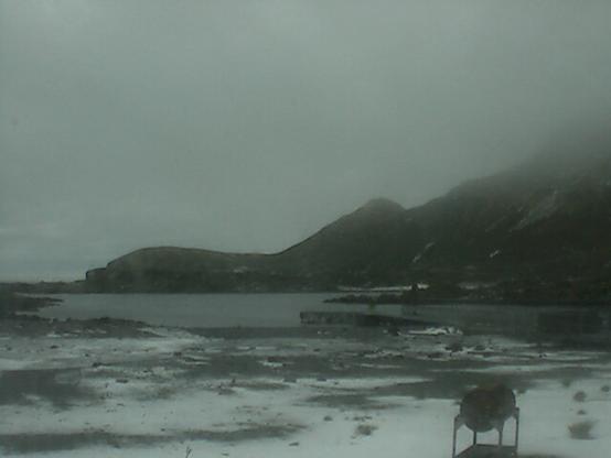 View from the Bird Island research station.