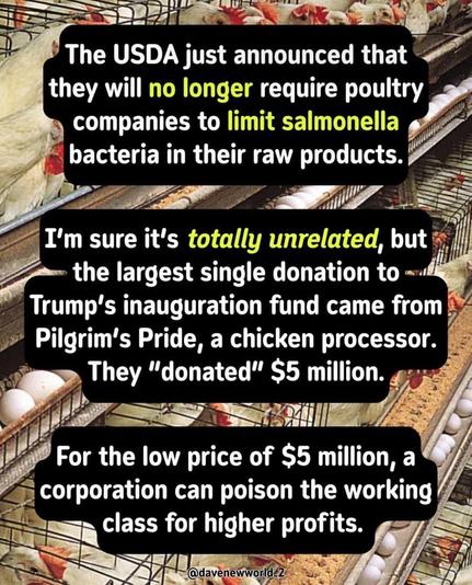 An illustration featuring a row of chickens and eggs in cages, overlaid with text:  

”The USDA just announced that they will no longer require poultry companies to limit salmonella bacteria in their raw products.

I'm sure it's totally unrelated, but the largest single donation to Trump's inauguration fund came from Pilgrim's Pride, a chicken processor.

They "donated" $5 million.

For the low price of $5 million, a corporation can poison the working class for higher profits.”
