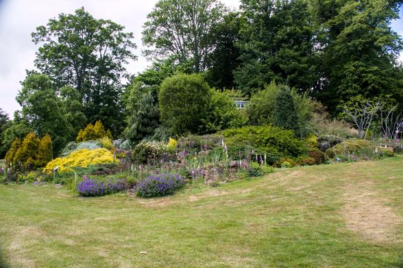 A view of a rockgarden flowering