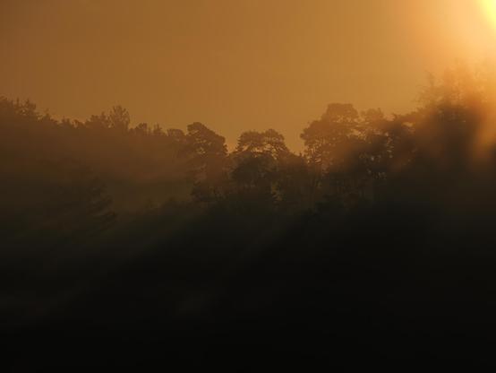 A sunrise behind a forest. The sun shines through the trees and the morning mist.